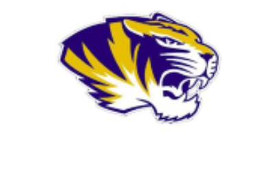 Tiger head